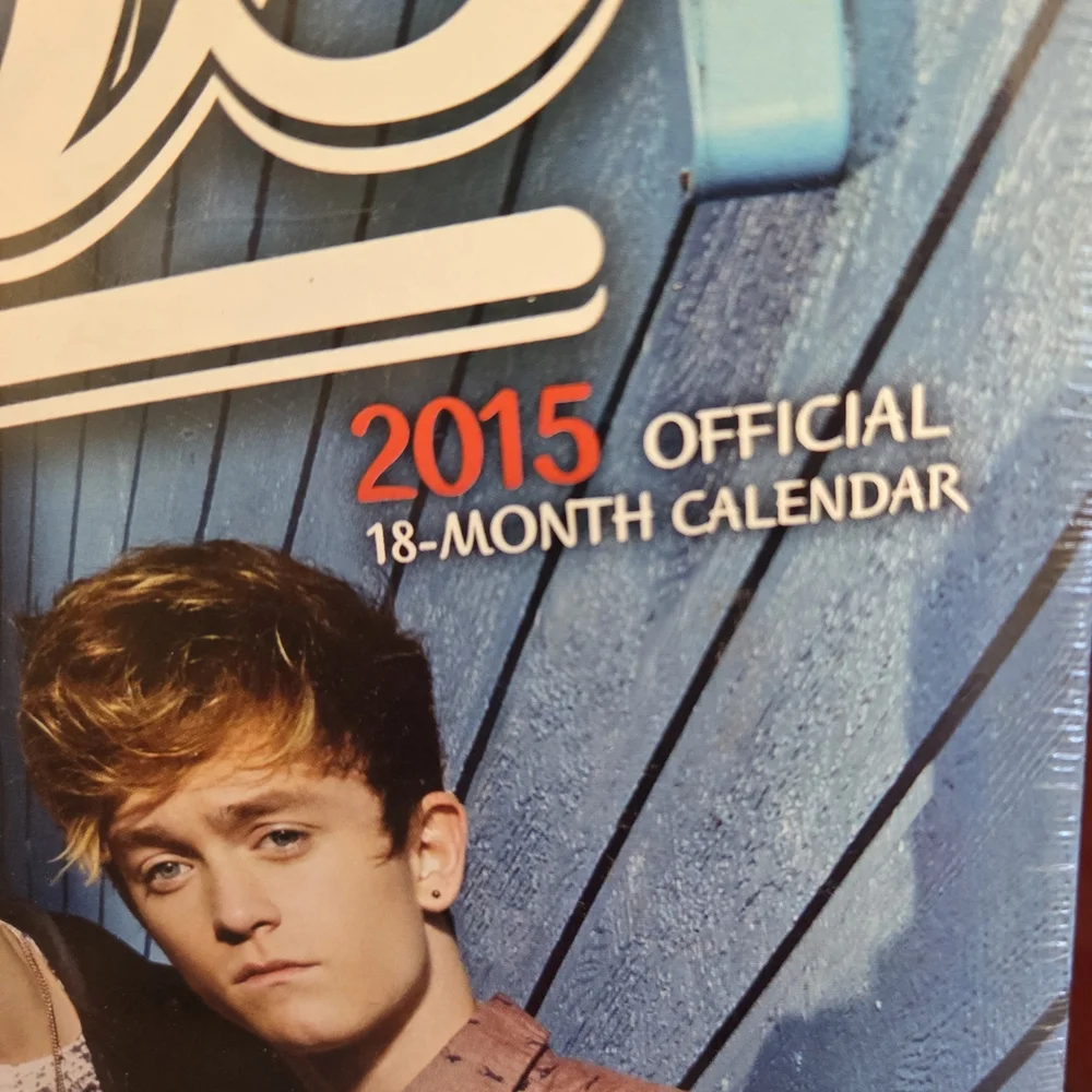 🆕️🎁The Vamps 2015 (2026) Official Calendar🎅